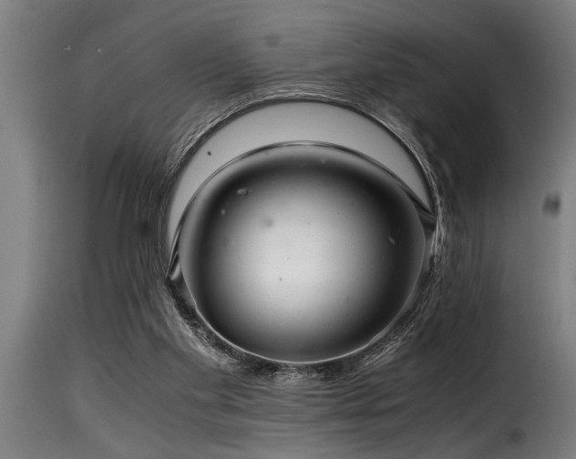 X0000116000109200911191433