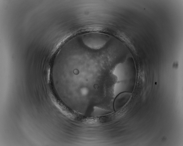 X0000116000110200911191433