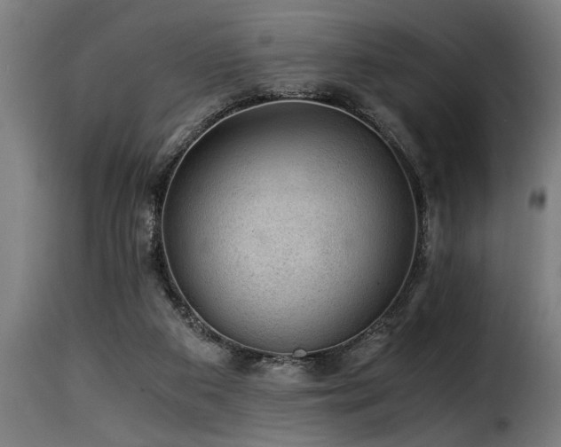 X0000116000113200911191433