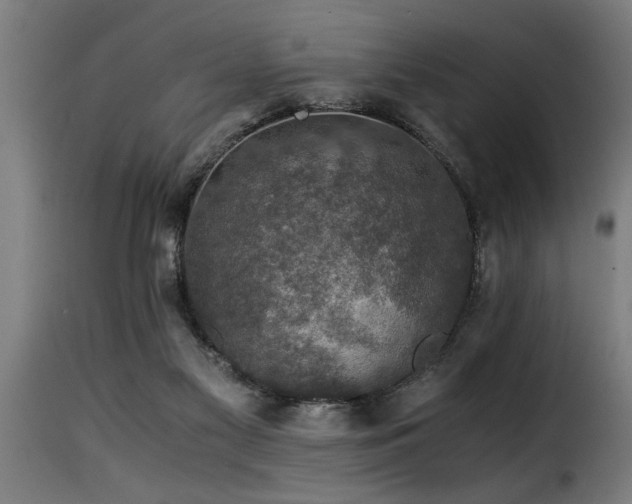 X0000116000117200911191433