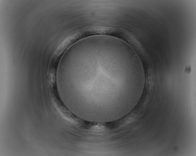 X0000116000119200911191433