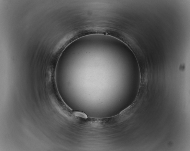 X0000116000120200911191433