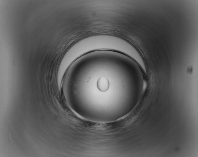 X0000116000121200911191433