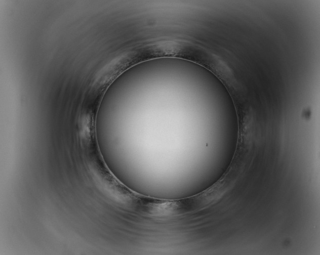 X0000116000122200911191433