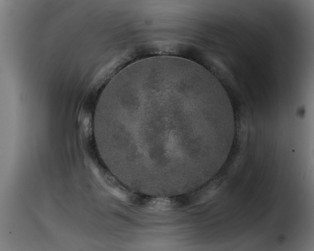 X0000116000123200911191433