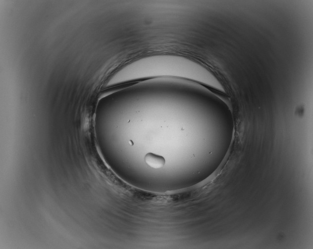 X0000116000124200911191433