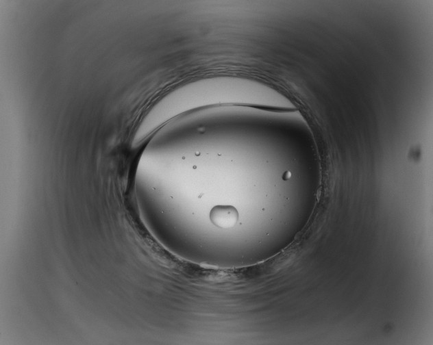 X0000116000125200911191433