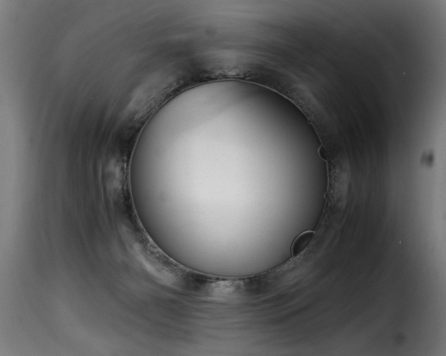 X0000116000126200911191433