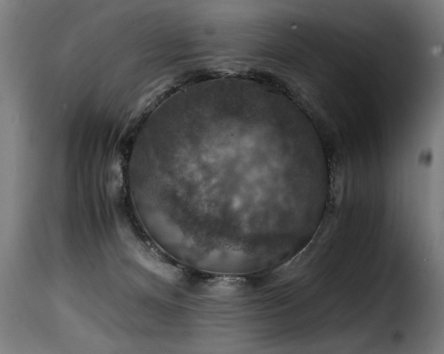 X0000116000128200911191433