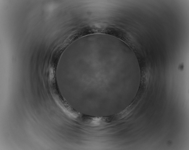 X0000116000130200911191433