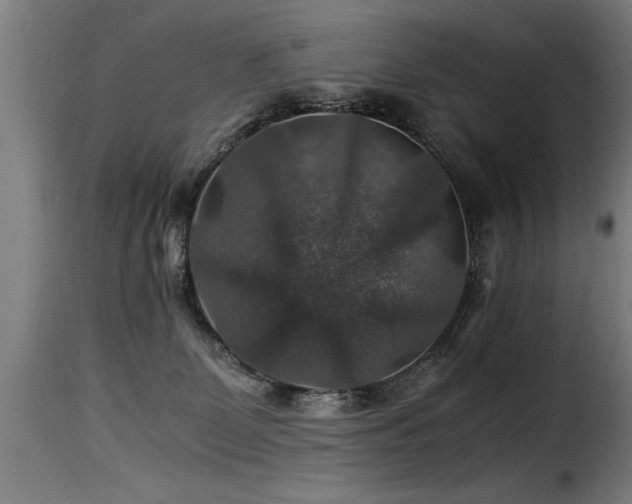 X0000116000131200911191433