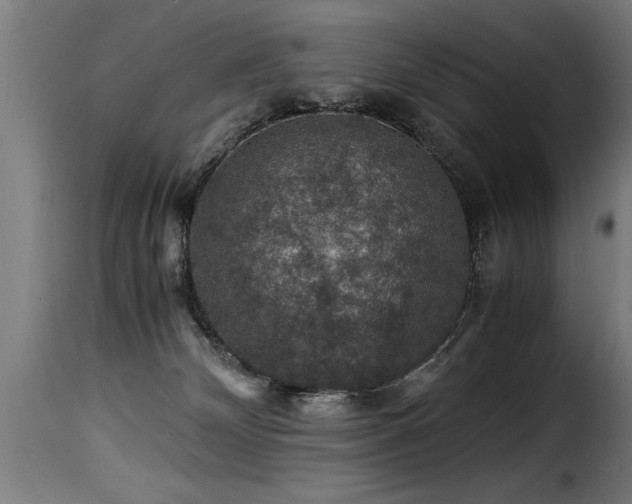 X0000116000132200911191433