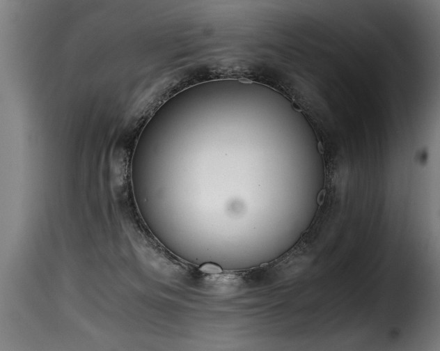 X0000116000133200911191433