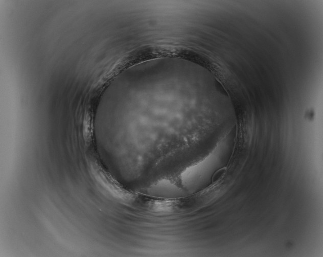 X0000116000134200911191433