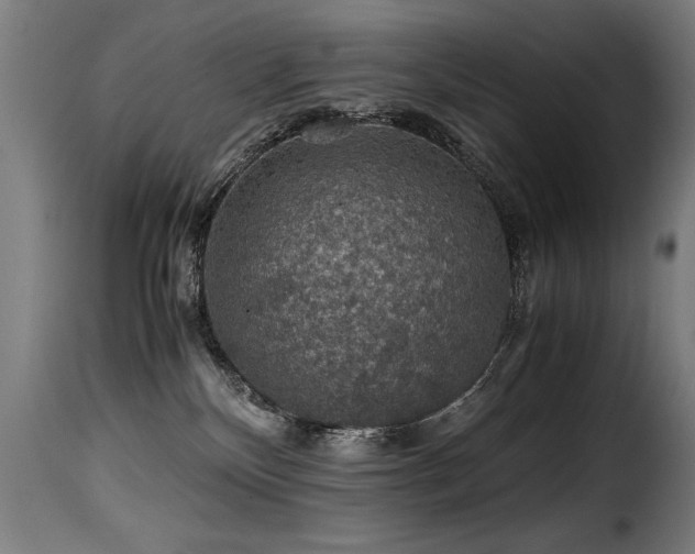 X0000116000136200911191433