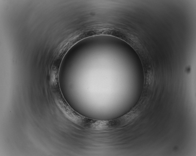 X0000116000138200911191433