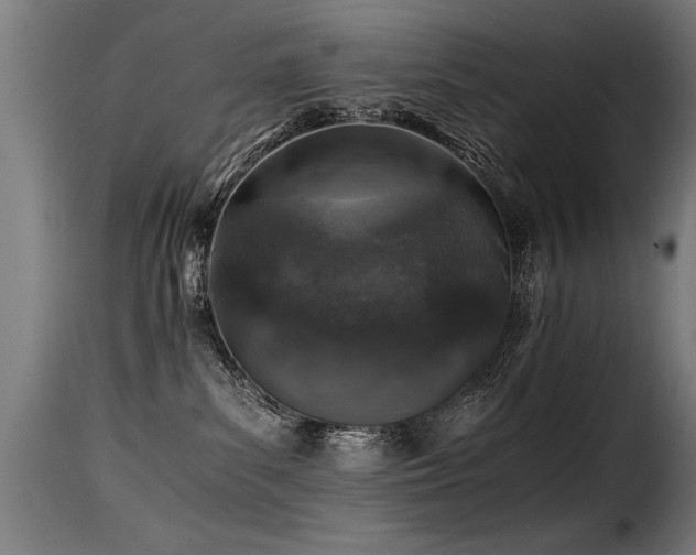 X0000116000139200911191433