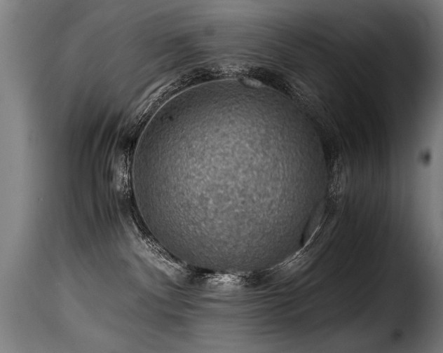 X0000116000140200911191433