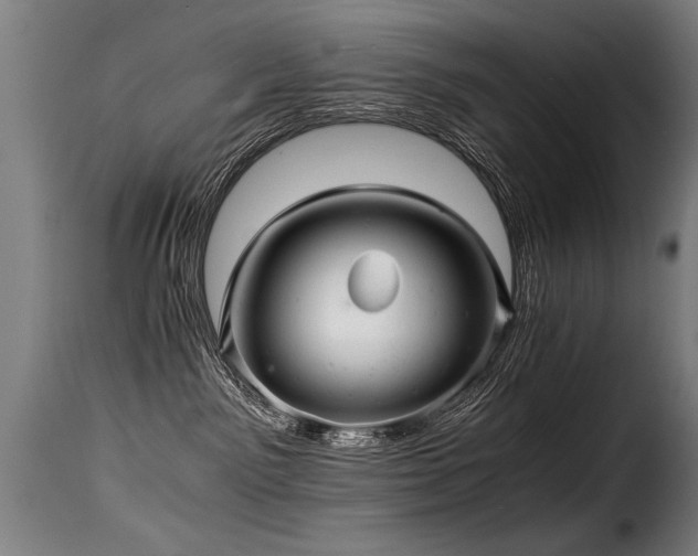 X0000116000141200911191433