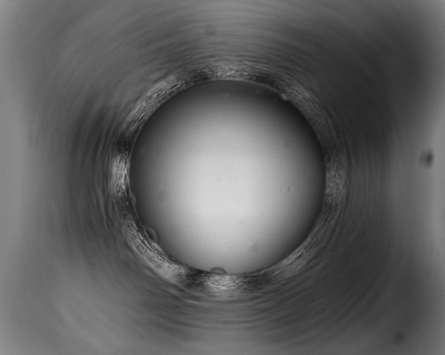 X0000116000142200911191433