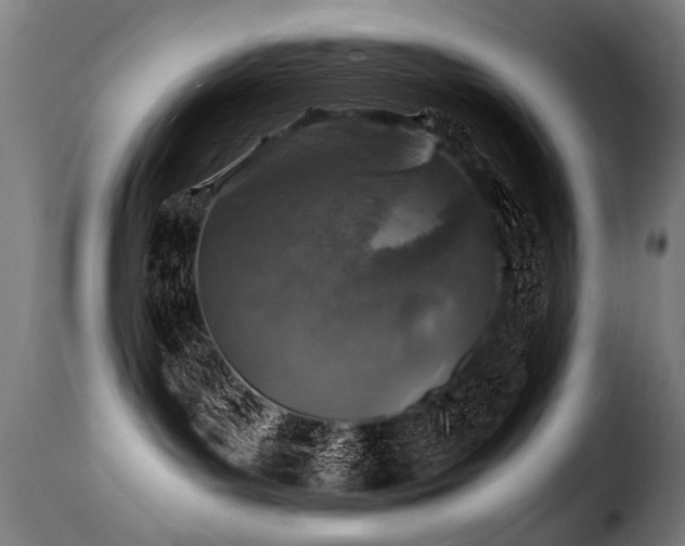 X0000116000143200911191433