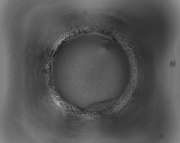 X0000116000144200911191433