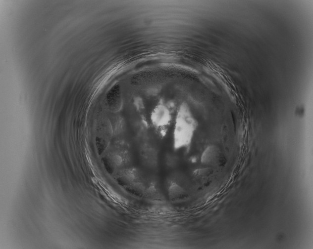 X0000116000145200911191432