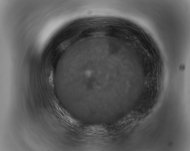 X0000116000146200911191432