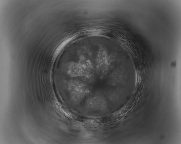 X0000116000147200911191432