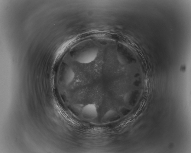 X0000116000149200911191432