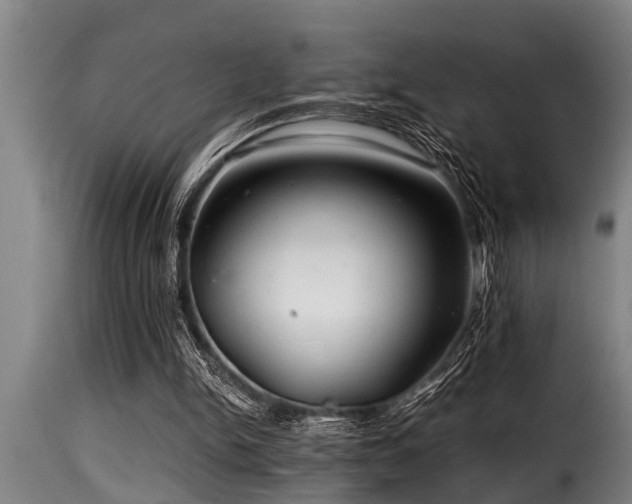 X0000116000150200911191432