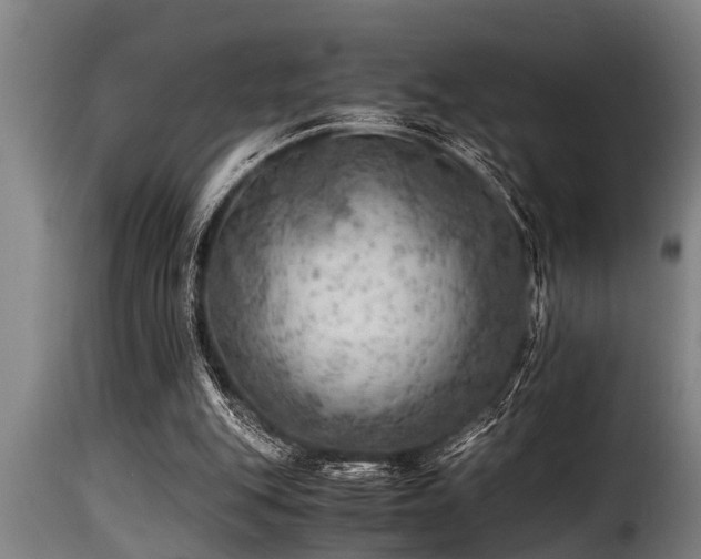 X0000116000151200911191432