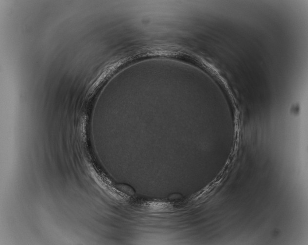 X0000116000154200911191432