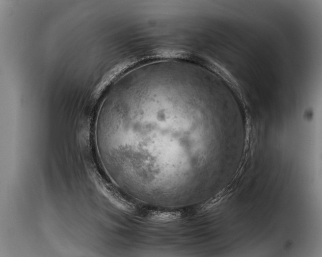 X0000116000155200911191432