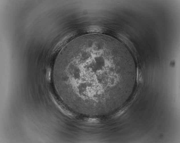 X0000116000157200911191432