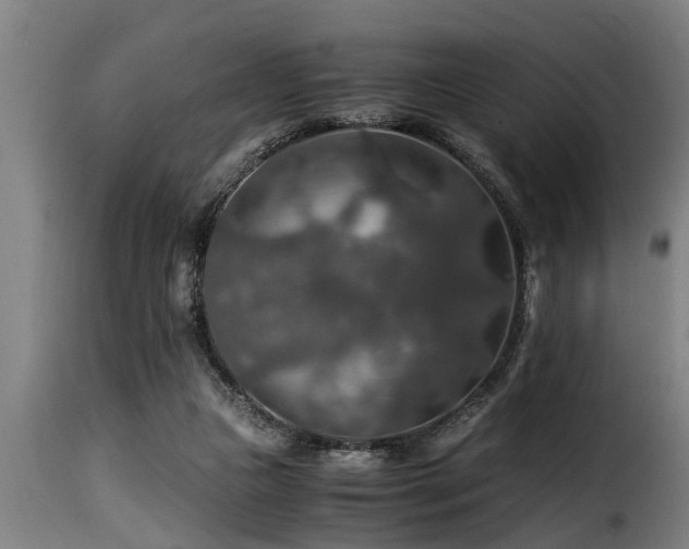 X0000116000161200911191432