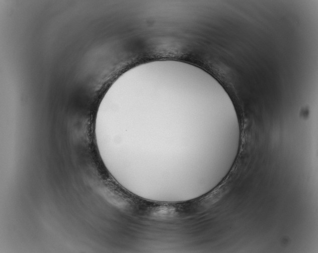 X0000116000162200911191432