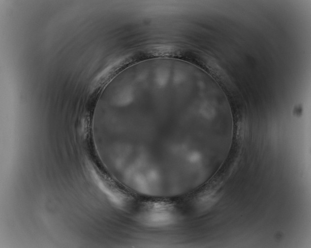 X0000116000165200911191432