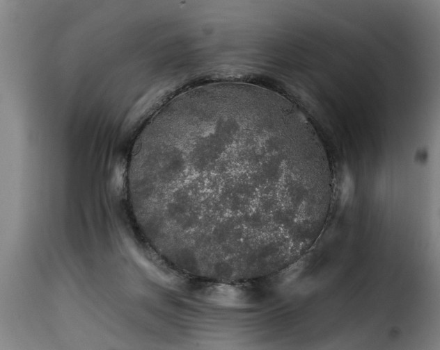 X0000116000166200911191432