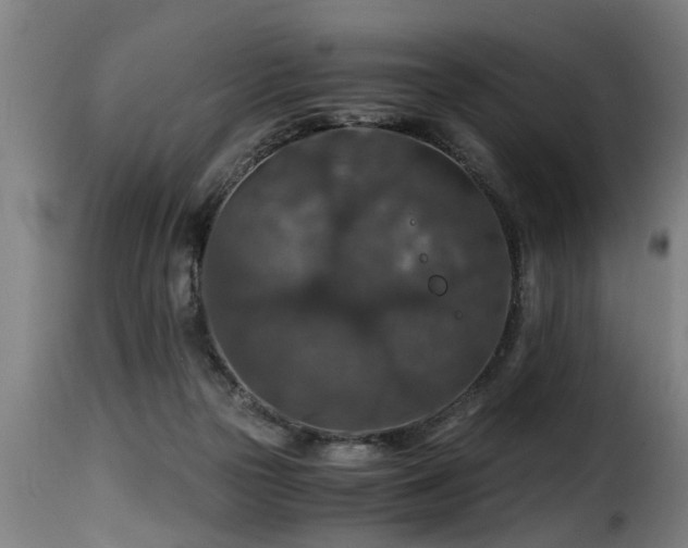 X0000116000169200911191433