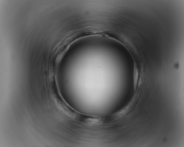 X0000116000170200911191433