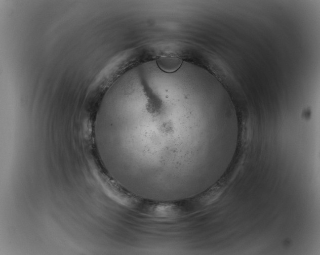 X0000116000173200911191433