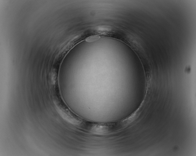 X0000116000174200911191433