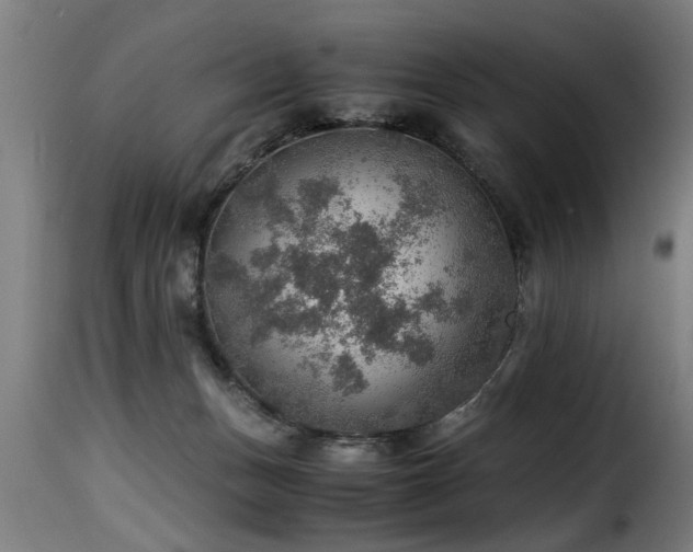 X0000116000175200911191433