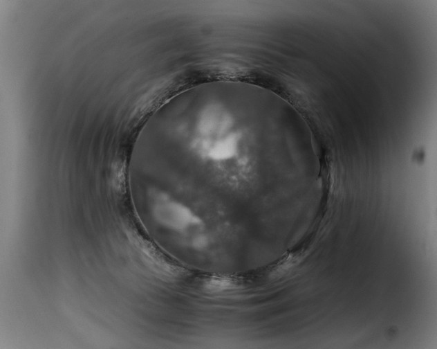 X0000116000177200911191433