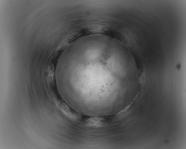 X0000116000179200911191433