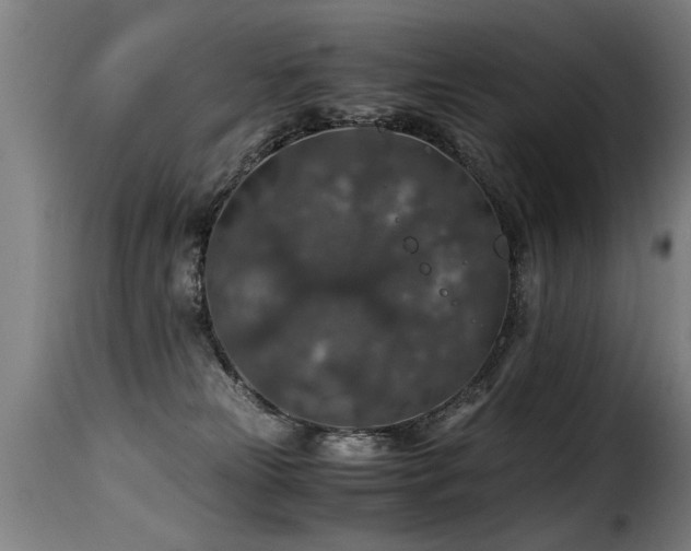 X0000116000181200911191433