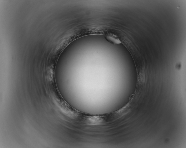 X0000116000183200911191433