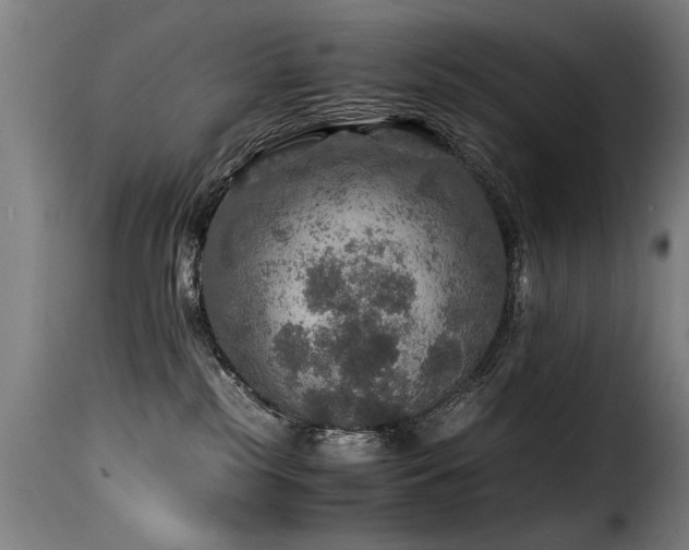 X0000116000185200911191433