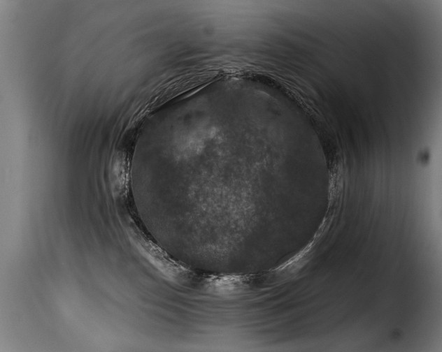 X0000116000186200911191433